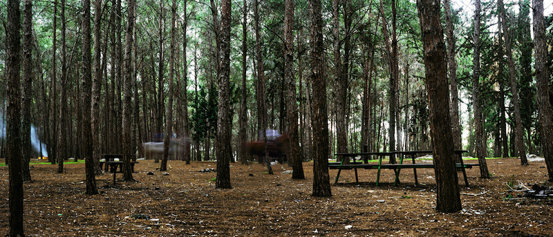 Dor Guez, Two Palestinian Riders, Ben Shemen Forest, 2011, 125x300 cm, edition of 3 + 1 AP -