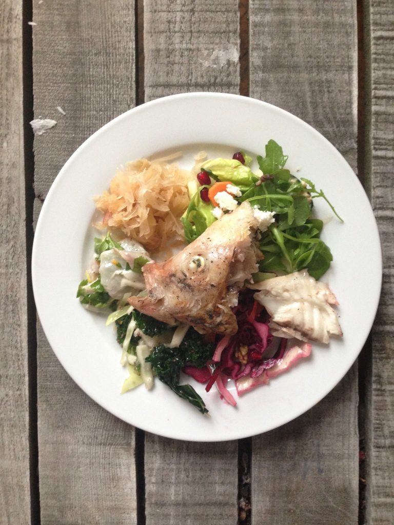 Aquaponics meal at Agora: fish head, ceviche with coriander, sauerkraut, red cabbage slaw, mixed greens with pomegranate, Berlin Germany, 2015 