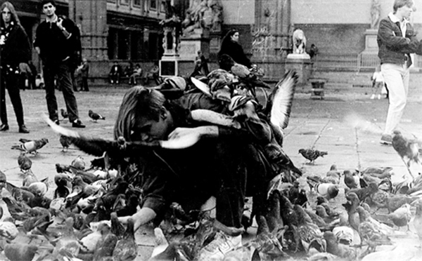 1987_pigeon_action